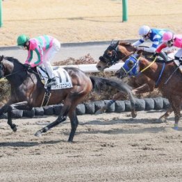 【レスキュー隊の日曜競馬コラム・東京12Ｒ】