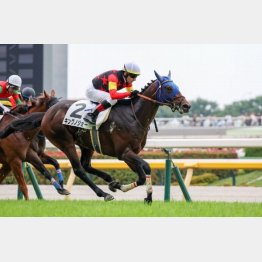 マイルの前走で快勝