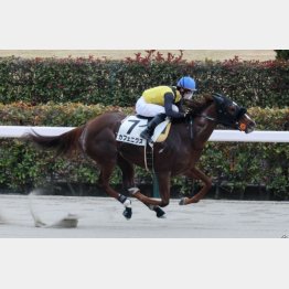 2走前にこの舞台で勝利