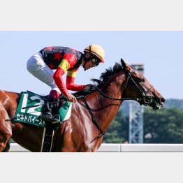 浜中で2戦2勝