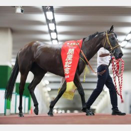 前走の関屋記念で初タイトル