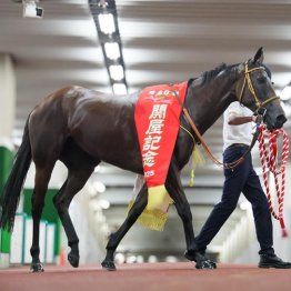 【アイルランドＴ】カナテープ盤石　ベストの９Ｆ戦を勝ってＧⅠへ