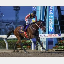 さきたま杯は②着に1秒差の圧勝
