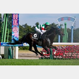３勝クラス圧勝の勢いあり