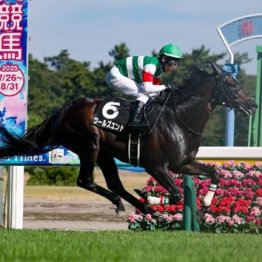 【市川の月曜競馬コラム・スワンＳ】