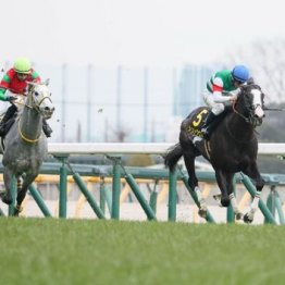 【飯島の月曜競馬コラム・オクトーバーＳ】