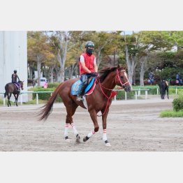 ⑤着だった安田記念よりいい雰囲気