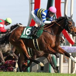 【大谷の月曜競馬コラム・スワンＳ】