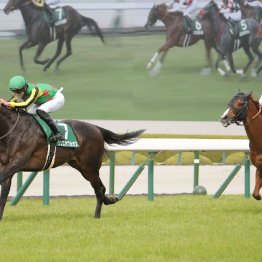 【武田の月曜競馬コラム・スワンＳ】