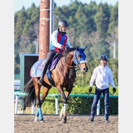 人馬ともにベテランコンビの炸裂だ