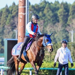 【橘の月曜競馬コラム・スワンＳ】