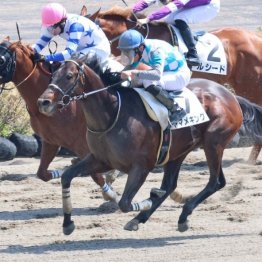 【レスキュー隊の月曜競馬コラム・東京12Ｒ】