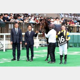 青嵐賞で３勝目