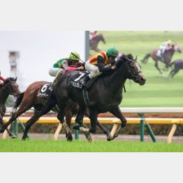 ２走前、東京で３勝目を挙げた