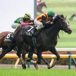 【東京本紙・外山の月曜東京11Ｒ】