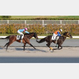 強い内容で１勝クラスを勝ち上がった