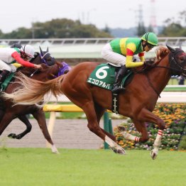 スピード寄りの１、２番人気は⑨⑦着　昨年までの府中牝馬Ｓ同様、中距離型が強かったアイルランドＴ