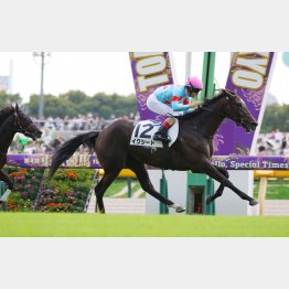 日曜東京の新馬戦はイクイノックスの妹イクシードがＶ