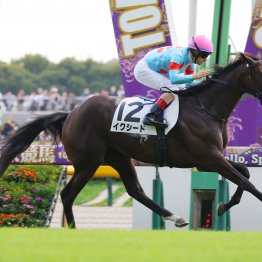 東京二千で勝ち上がった良血馬２頭の評価は
