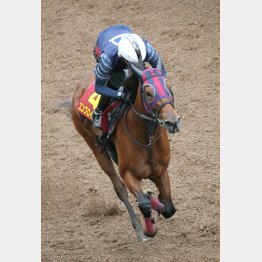 エンブロイダリーは坂路で単走も軽快な動き