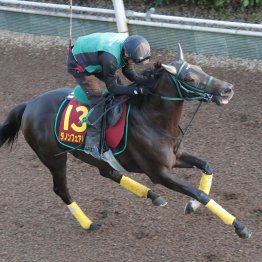 【秋華賞】馬肥ゆる秋を地でいくダノンフェアレディに穴の気配