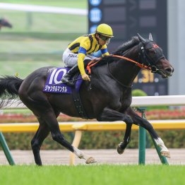 【富士Ｓ】東京千六でGⅠ２勝 ジャンタルマンタル好発進を決める