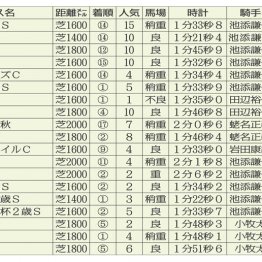 ２０１１年富士Ｓ制覇　エイシンアポロン