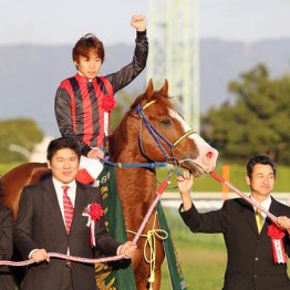 ２０１１年富士Ｓ制覇　エイシンアポロン