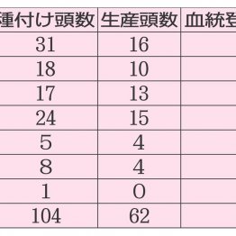 ２０１１年富士Ｓ制覇　エイシンアポロン