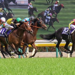 【亀井の土曜競馬コラム・富士Ｓ】