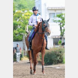 スムーズなら好勝負になる