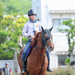 【播磨の土曜競馬コラム・富士Ｓ】