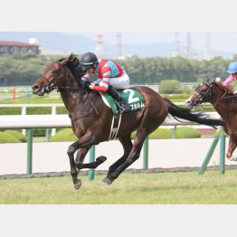 2走前に坂井で重賞初勝利
