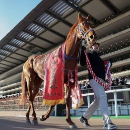 東京新聞杯で重賞初制覇