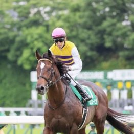 【飯島の土曜競馬コラム・富士Ｓ】