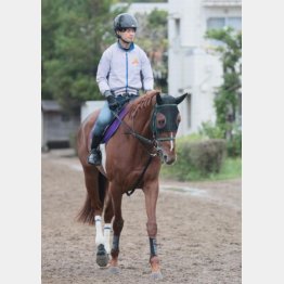 順調な仕上がり