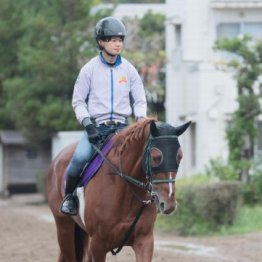 【大谷の土曜競馬コラム・富士Ｓ】