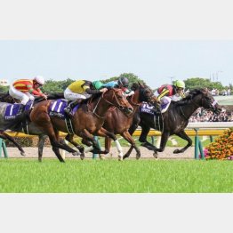 ＮＨＫマイルＣで②着