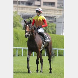 たたき2走目で首位争いだ