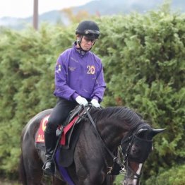 【秋華賞】出走全馬の特選情報