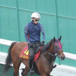 【秋華賞】出走全馬の特選情報