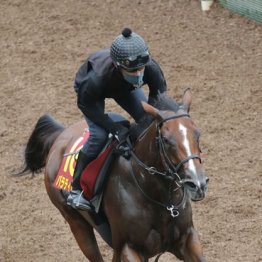 【市川の日曜競馬コラム・秋華賞】