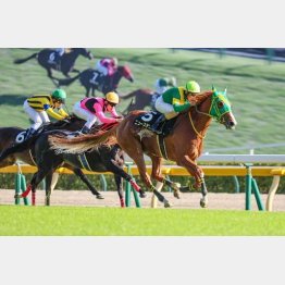 山中湖特別も放牧明けで勝利