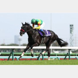 中山グランドJで人馬初のGⅠ勝利