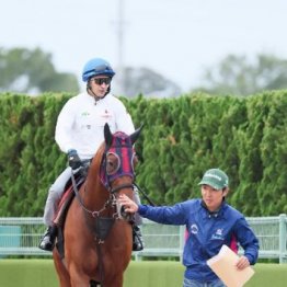 【大谷の日曜競馬コラム・秋華賞】