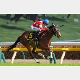 春のスイートピーSを好時計勝ち