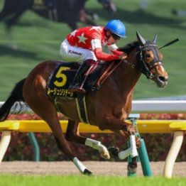 【武田の日曜競馬コラム・秋華賞】