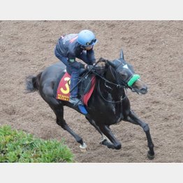 今週の追い切りは武豊を背に軽快な動き
