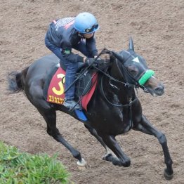 【橘の日曜競馬コラム・秋華賞】