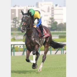 焦点は②着探しか